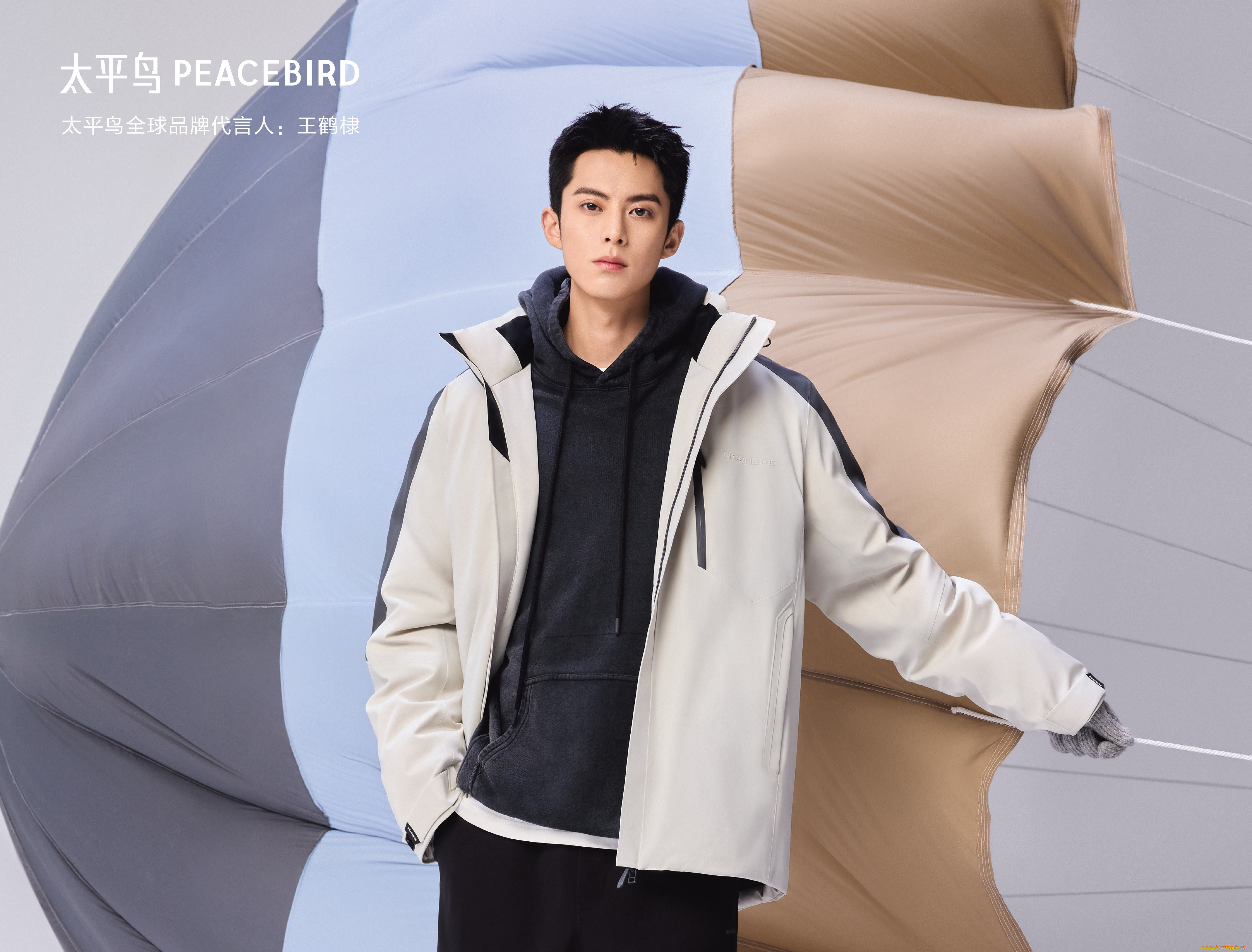 �������, wang hedi , dylan wang, �����, ���
